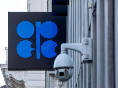 Some OPEC+ members will cut the oil that they send to the world to try to boost prices