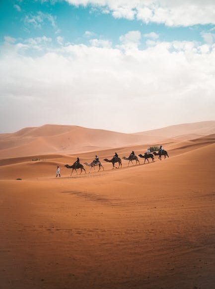 New York governor vetoes bill that would ban noncompete agreements